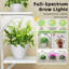  Support pour plante 63,39 po Wert-171439065