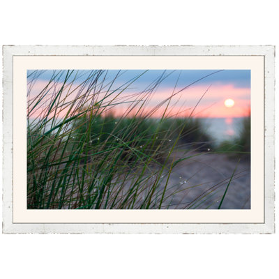 Ted Glasoe " Dune Grass With Dew " by Ted Glasoe