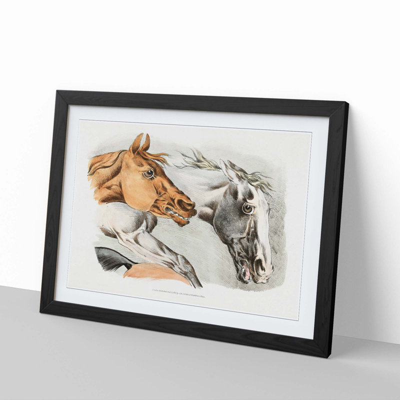 Horse Illustrations by Henry Alken - Framed Print, Black Framed, 27cm H x 36cm W x 2cm D