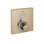ShowerSelect Temperature Memory Thermostatic 1-Function Shower Trim Valve Trim Only