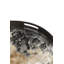Classics Glass Decorative Tray