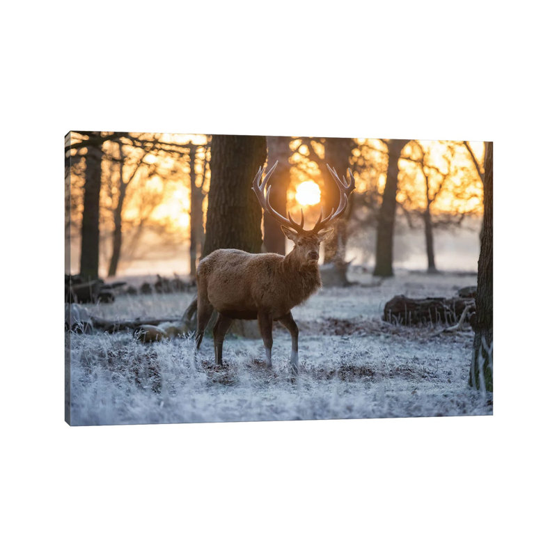 Winterland by Max Ellis - Wrapped Canvas Gallery-Wrapped Canvas Giclée, 101.6 cm H x 66.04 cm W x 3.175 cm D