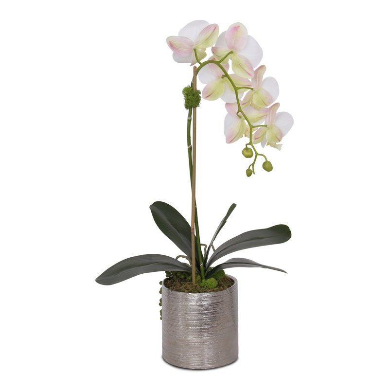 Arrangement de fausses fleurs orchidées en pot