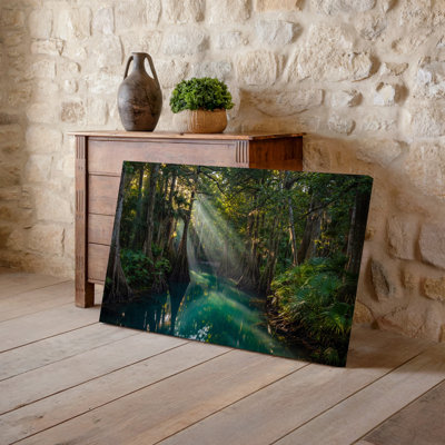 Toile, scène sereine de marais baignant dans une douce lumière dorée filtrant l'art mural à travers une toile dense de feuillage vert luxuriant