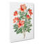 Chinese Azalea Flowers - Wrapped Canvas-55323294