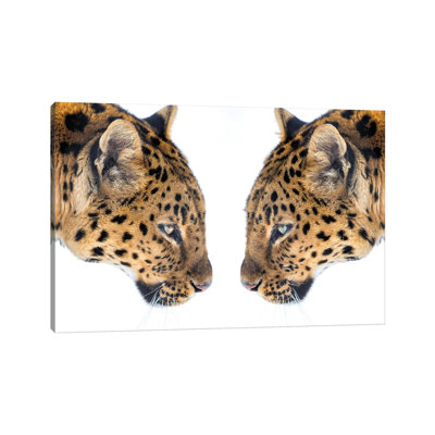 " Mirrored " by David Gardiner Painting Print