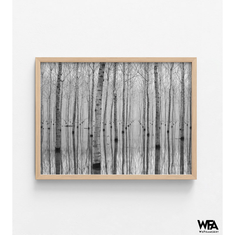 «Forest Forest», art mural surdimensionné, photo surdimensionnée, H 12 po x l 16 po, Reproduction encadrée sans passe-partout