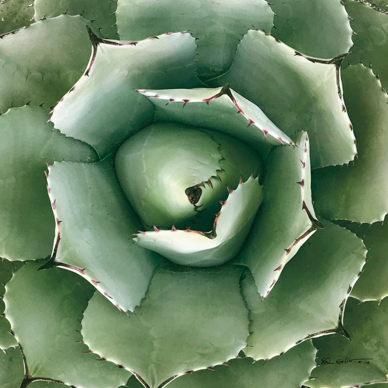 Cactus vert II, H 20 po x l 20 po x P 1,25 po