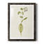 Mauve Garden Flowers IV - peinture encadrée-1603330260-1603330258