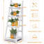 Plant Stand-1127524243