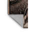 Tapis lavande lavable-1053926941