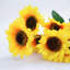 Panier à tournesol