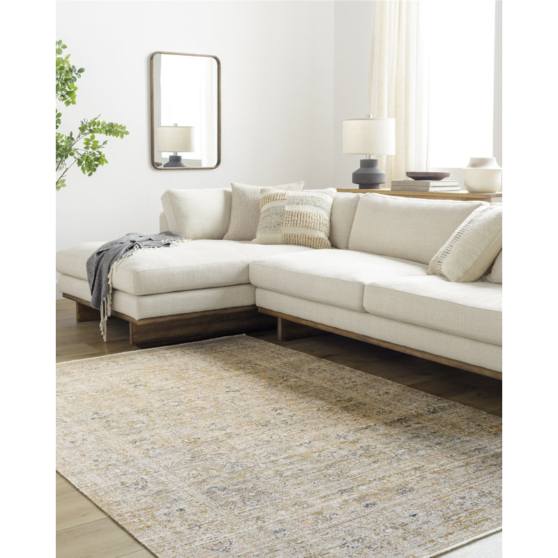 Margaret Vintage Washable Distressed Brown Synthetic Area Rug