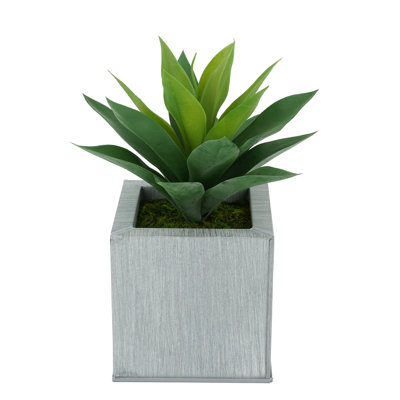 Plante grasse artificielle 7 po en pot