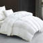 Insertion de couette en duvet et plumes toutes saisons-598230503