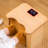 FS100 Portable FAR Infra-Red Heating Foot Spa Sauna Bucket with Removable Leg Sleeve,No Water Pouring, 77–149°F Temp Range