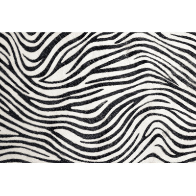 Zebra Background 1 Piece Wrapped Canvas Wall Art