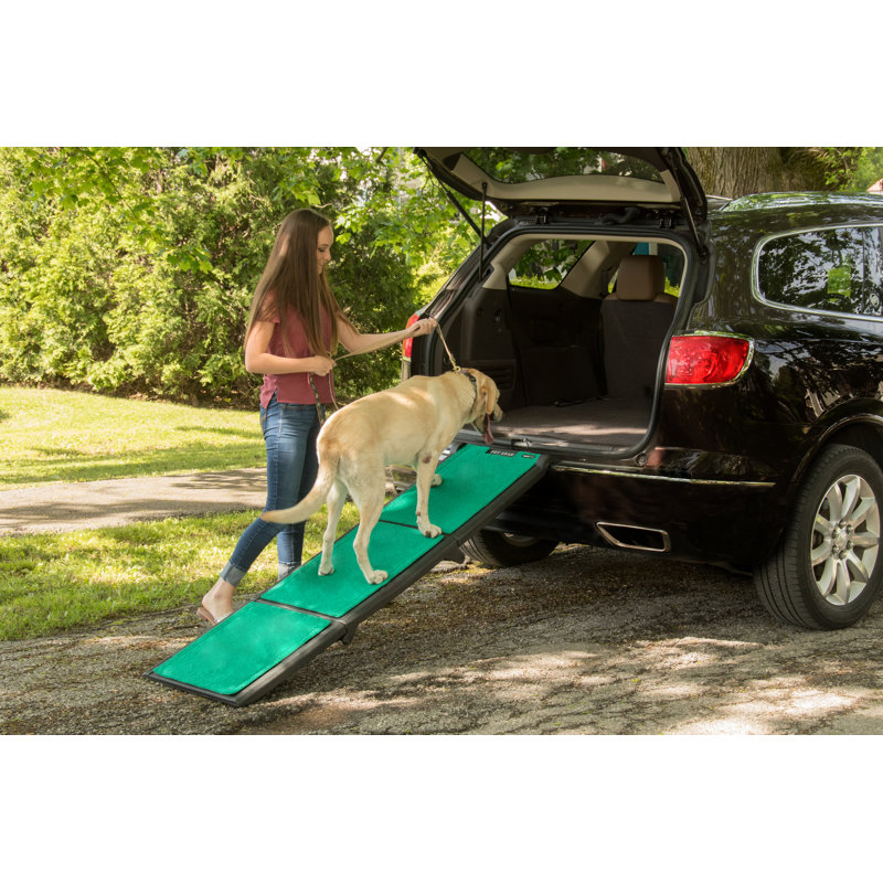 Rampe pour animaux multiples 71 po Supertrax
