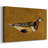 Feathered Friend II-Gallery Wrapped Canvas-86479181