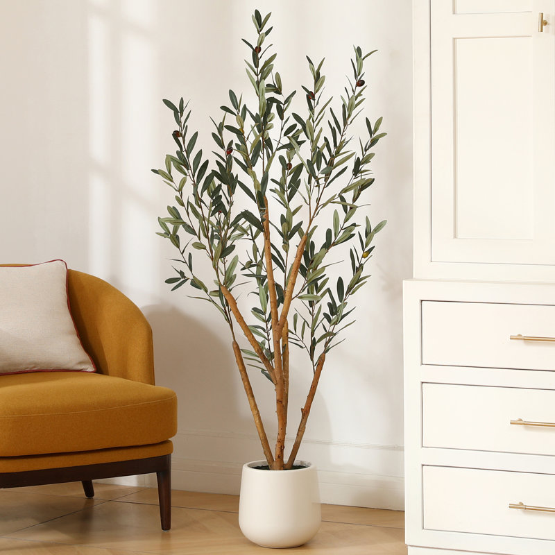 Faux olivier Adcock avec pot ovale blanc, H 60 po x l 20 po x P 20 po