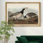 Barnacle Goose - reproduction d'art sur toile-1452761695-1452761690