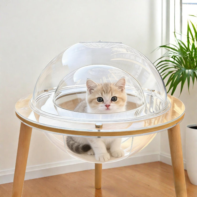 Grande maison-grotte en acrylique avec dôme d'observation à 360 °, tunnel interne et base en bois pour chats d'intérieur