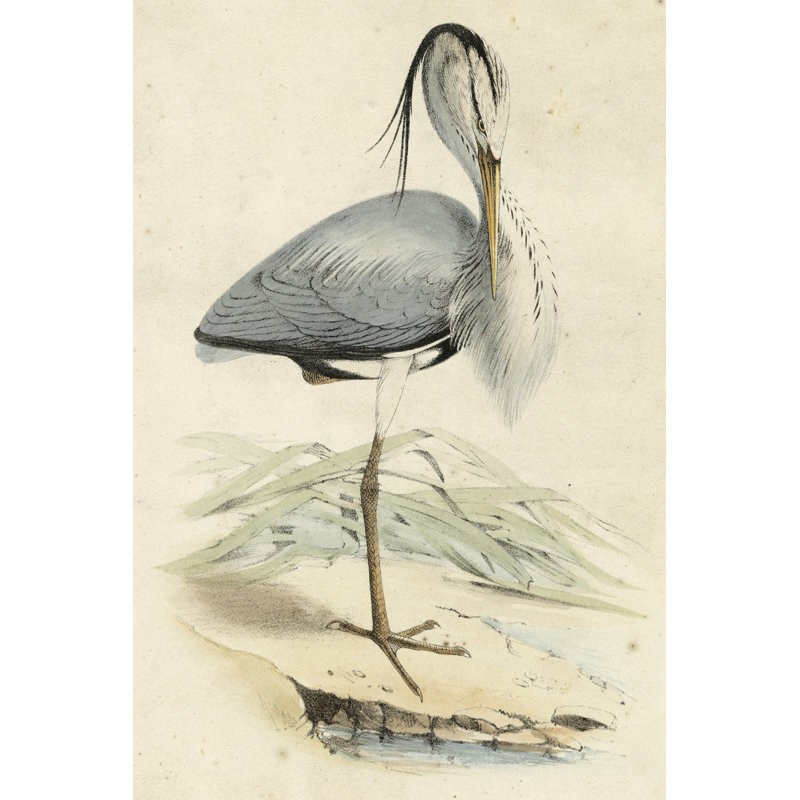 «Antique Heron IV», peinture sur toile, H 36 po x l 24 po