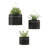 Myla 3-Piece Metal Wall Planter Set-951228295