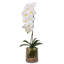 Real Touch Phalaenopsis Orchid  Floral Arrangement in Vase
