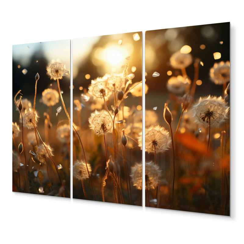 Sunset Dandelion Field V - Ensemble de décoration murale floral en métal