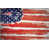New England Patriots