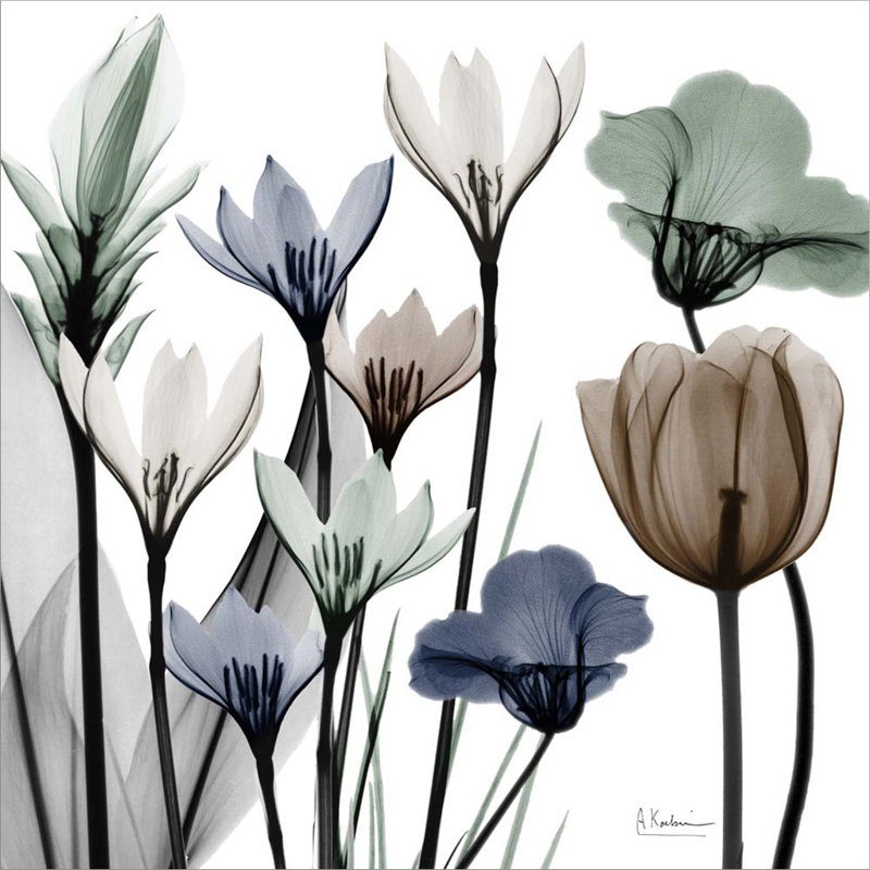 Plants & Flowers Wall Decor on Canvas