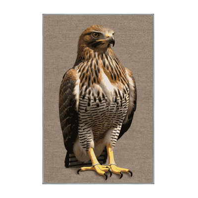 Washable Red shouldered Hawk Birds Area Rug