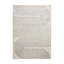 Apollo area rug Machine Woven Rectangle Grey-100512822