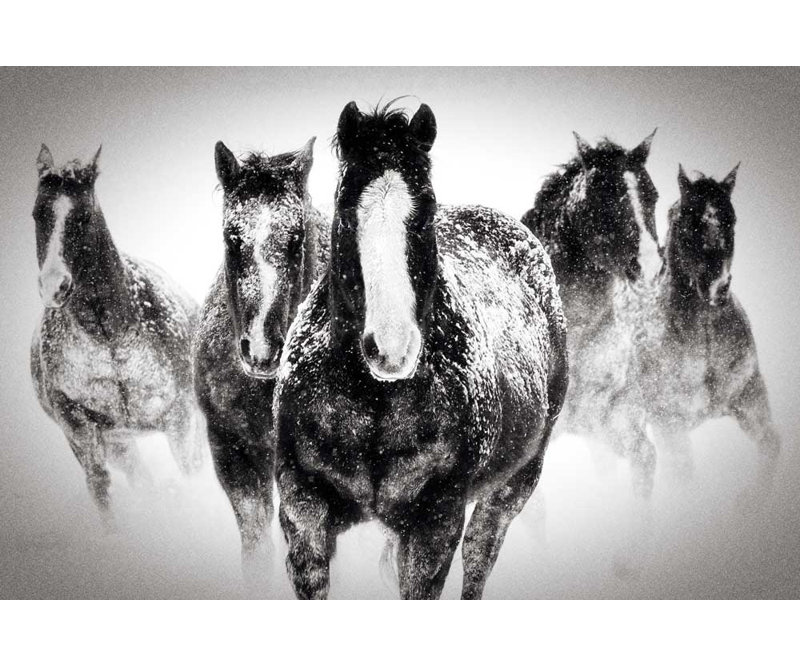 " Winter Rumble " by Deb Lee Carson