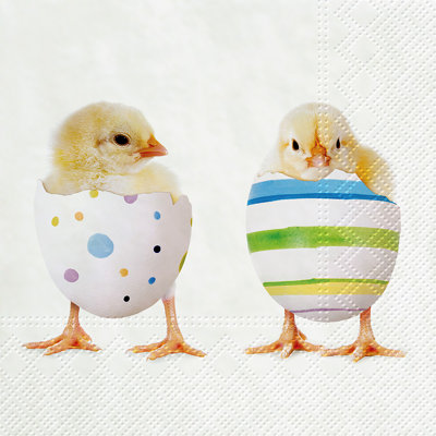 Serviettes jetables en papier