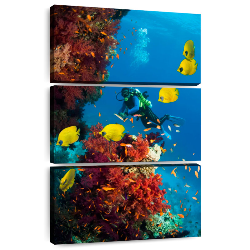 Senne Deep Sea Scuba Diving, 32" H x 20" W