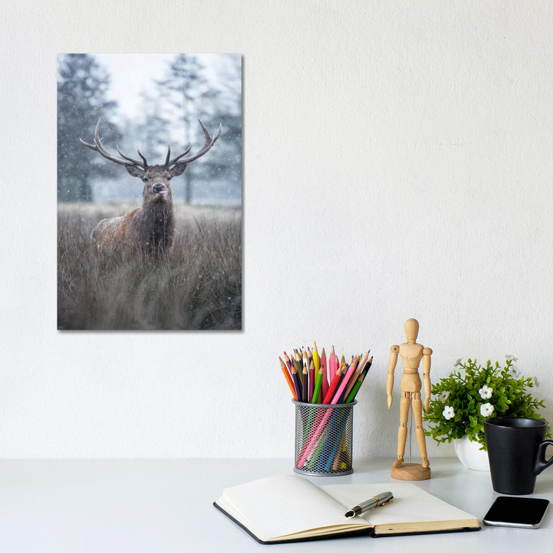 Snowflakes On Your Tongue by Max Ellis - Wrapped Canvas Print, 20.32 cm H x 30.48 cm W