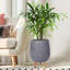 Honeycomb Style Egg Planter with Feet-99158589-57886056