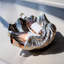 Nickel Plated Shell Wine Cooler