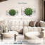 Plante grasse Harnek-108863459