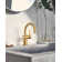 Cia Single Hole Bathroom Faucet, Modern One Handle Bathroom Sink Faucet with Drain Assembly