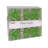 Clover 10 Light String Lights