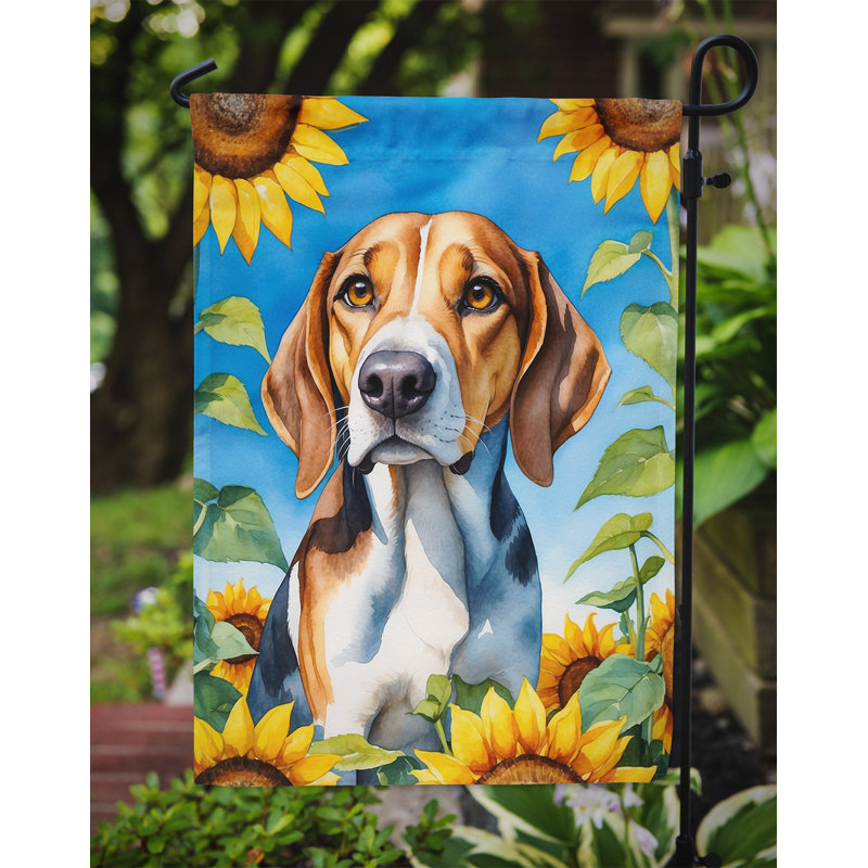 Lévrier irlandais dans le drapeau du jardin de tournesols, Foxhound américain