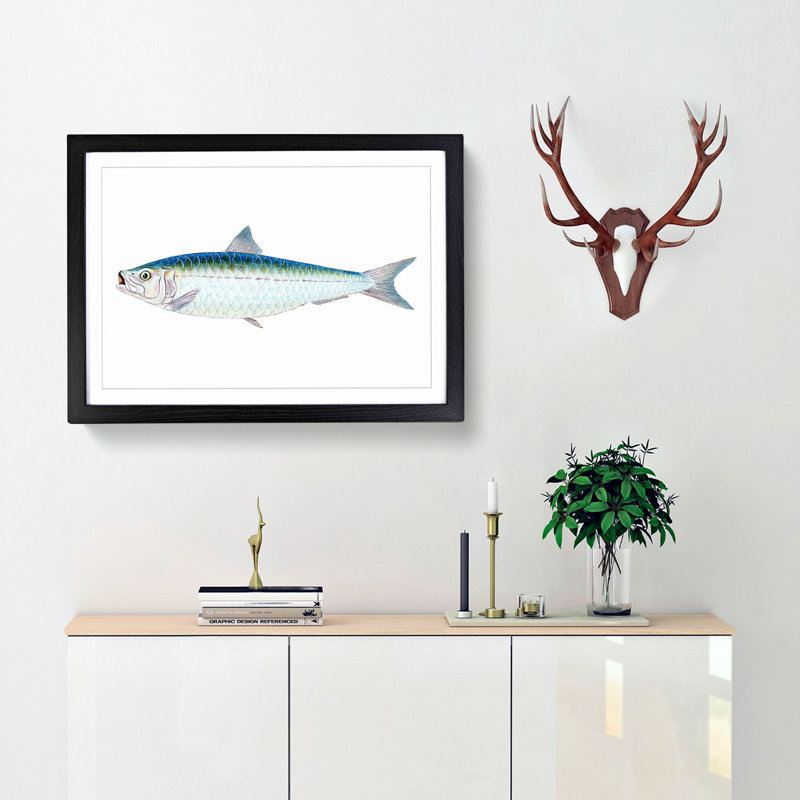 Pilchard Fish by Edward Donovan - Picture Frame Painting Print, Black Framed, 48cm H x 65cm W x 2cm D