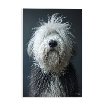 Shaggy Pup Portrait Wall Plaque Art by Roozbeh Bahramali