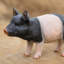 Statue de jardin en forme de cochon tacheté