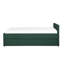 Shannen Upholstered Daybed with Trundle-124206643