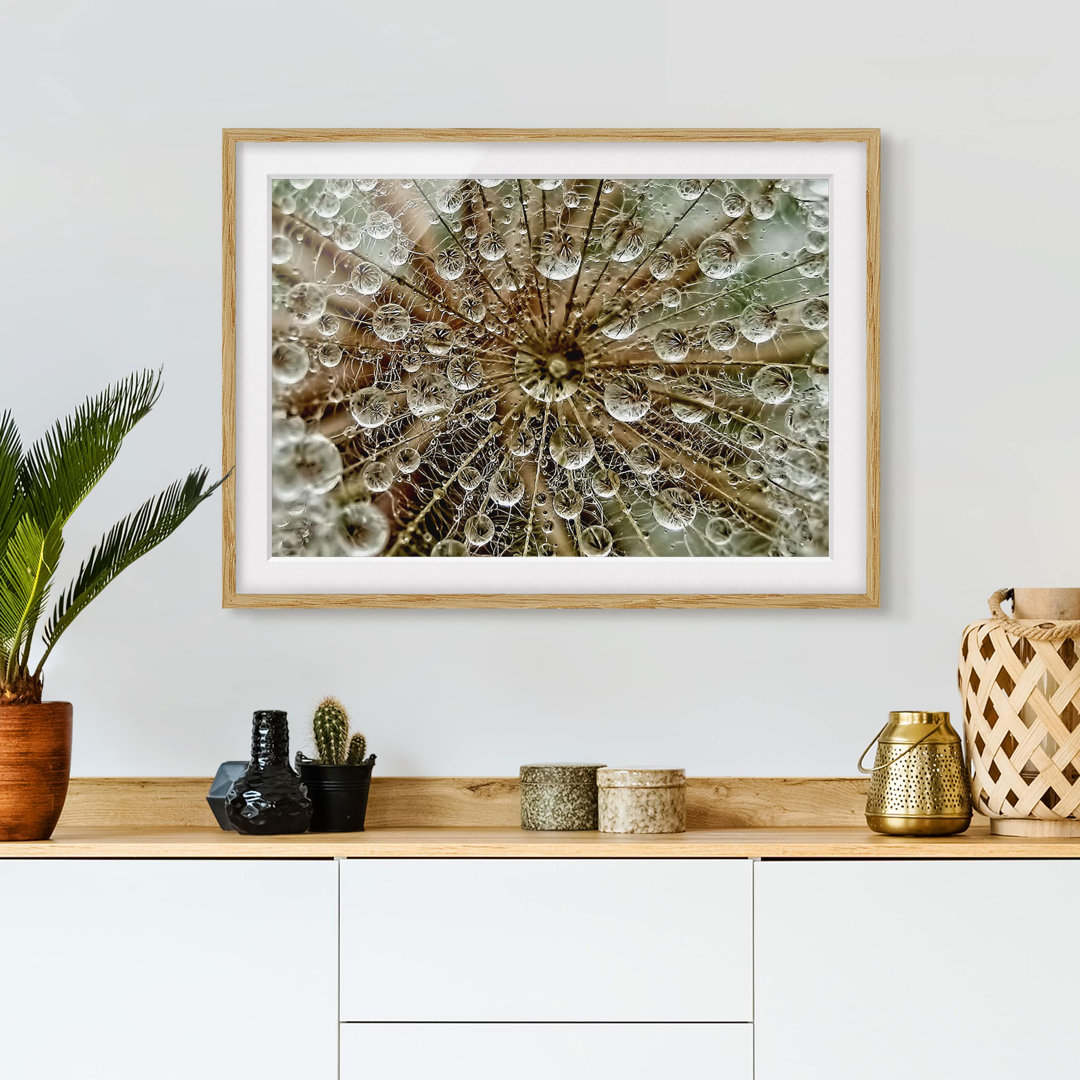 Gerahmtes Poster Dandelion in Autumn