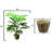 36'' Faux Palm Tree in Basket-861798297